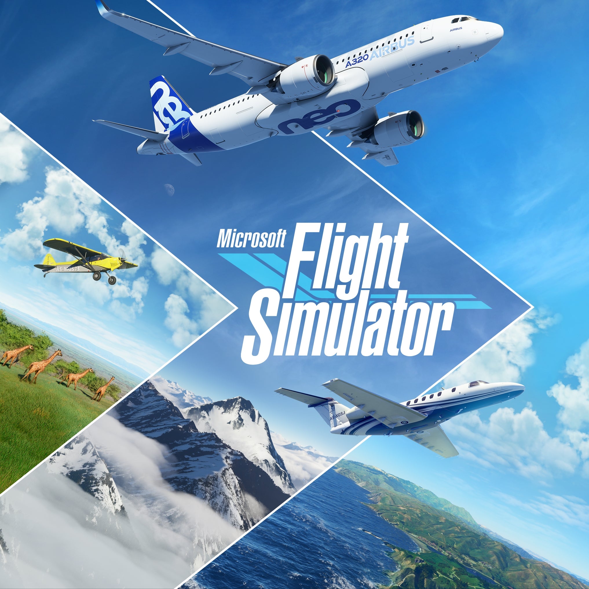 Microsoft Flight Simulator